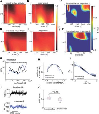 Evaluation of non-linear heart rate variability using multi-scale multi-fractal detrended fluctuation analysis in mice: Roles of the autonomic nervous system and sinoatrial node